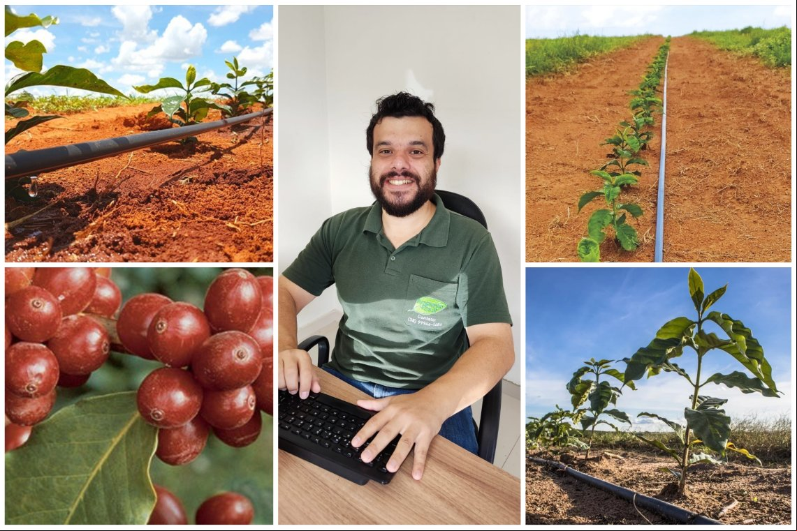 Cafeicultura no Vale do Jequitinhonha: oportunidades e desafios