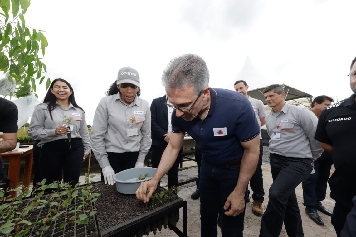 Governador conhece técnicas de silvicultura e de melhoramento genético de mudas da Aperam BioEnergia