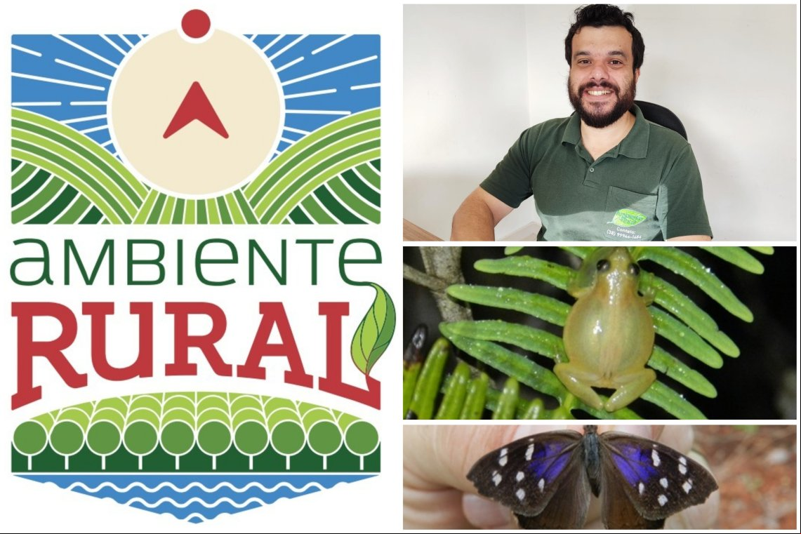 Desmate Legal é Possível! Saiba o que o Produtor Rural Precisa Fazer para Atuar Dentro da Lei em Minas Gerais, sobre Estudos de Fauna